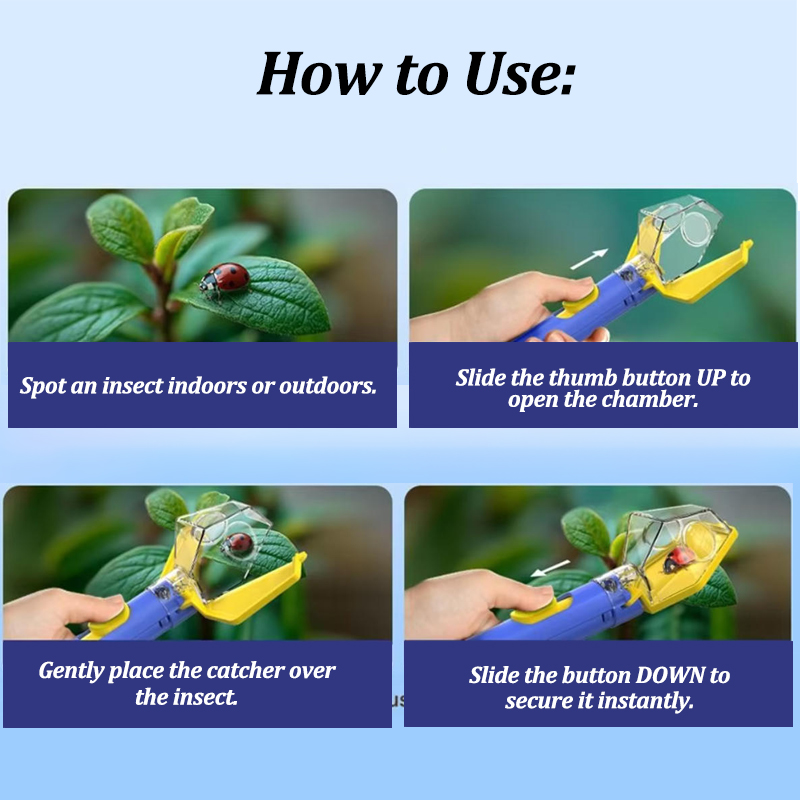 Portable Insect Catcher With 6 – Kids Outdoor Explorer Kit Bewertung und Preis