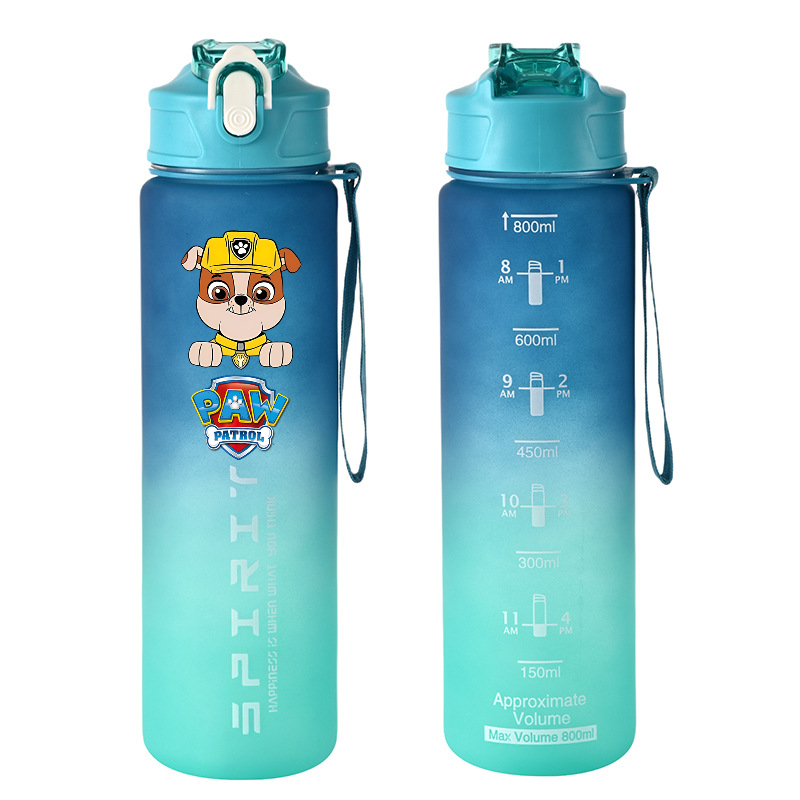 800ml PAW Patrol Sports Water  – Kids Outdoor Gym Bewertung und Preis