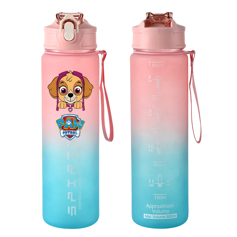 800ml PAW Patrol Sports Water  – Kids Outdoor Gym Bewertung und Preis