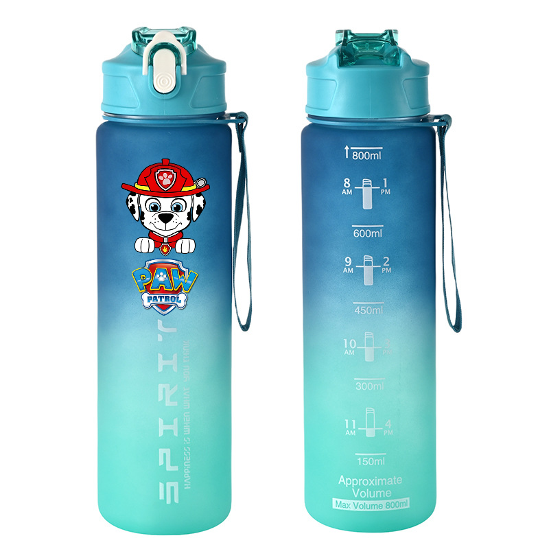 800ml PAW Patrol Sports Water  – Kids Outdoor Gym Bewertung und Preis